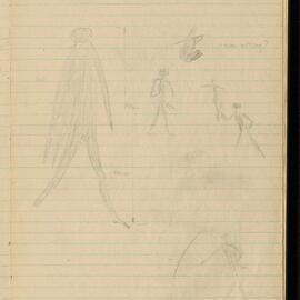 Peter Genge field notes. 00405