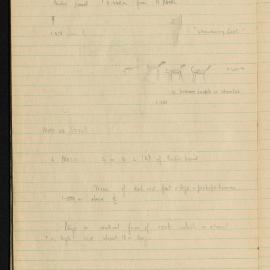Peter Genge field notes. 00408