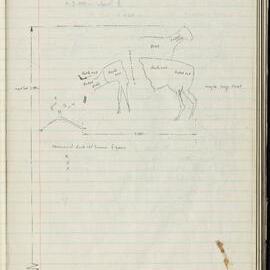 Peter Genge field notes. 00585