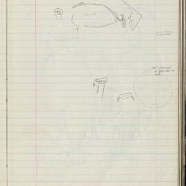 Peter Genge field notes. 00589