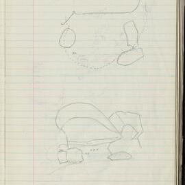 Peter Genge field notes. 00591