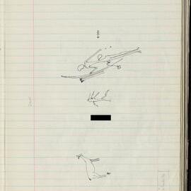 Peter Genge field notes. 00593