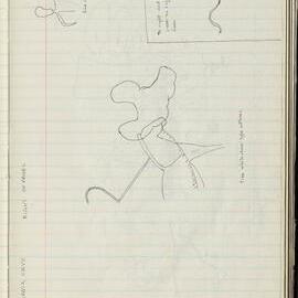 Peter Genge field notes. 00607