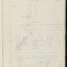 Peter Genge field notes. 00701