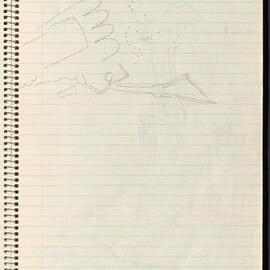 Peter Genge field notes. 01041