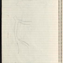 Peter Genge field notes. 01044
