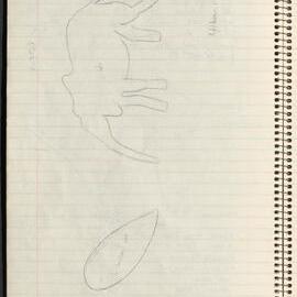 Peter Genge field notes. 01048