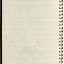 Peter Genge field notes. 01050