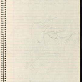 Peter Genge field notes. 01053