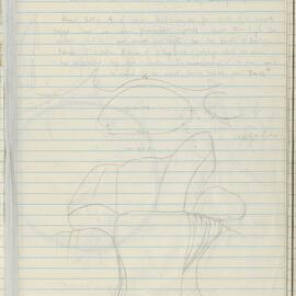 Peter Genge field notes. 01139