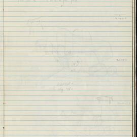 Peter Genge field notes. 01149