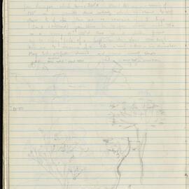Peter Genge field notes. 01152