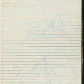 Peter Genge field notes. 01183