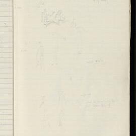 Peter Genge field notes. 01251