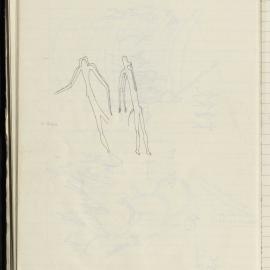 Peter Genge field notes. 01398