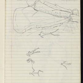 Peter Genge field notes. 01399