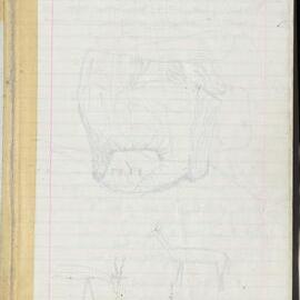 Peter Genge field notes. 01419