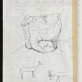 Peter Genge field notes. 01420