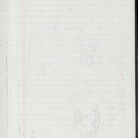 Peter Genge field notes. 01423