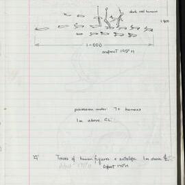 Peter Genge field notes. 01431