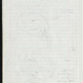 Peter Genge field notes. 01434