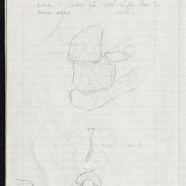 Peter Genge field notes. 01436