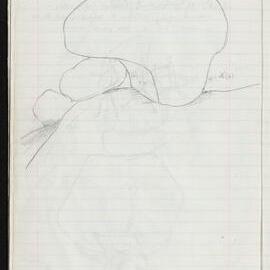 Peter Genge field notes. 01438
