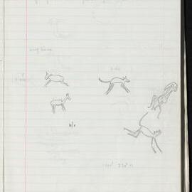 Peter Genge field notes. 01439