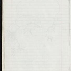 Peter Genge field notes. 01440
