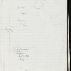 Peter Genge field notes. 01441