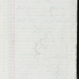 Peter Genge field notes. 01601