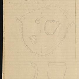 Peter Genge field notes. 01614