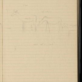 Peter Genge field notes. 01615