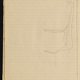 Peter Genge field notes. 01616