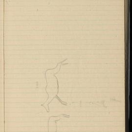 Peter Genge field notes. 01617