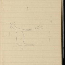 Peter Genge field notes. 01619