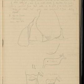 Peter Genge field notes. 01621