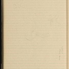 Peter Genge field notes. 01724