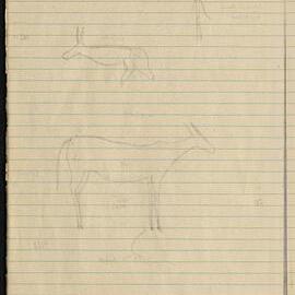 Peter Genge field notes. 01801