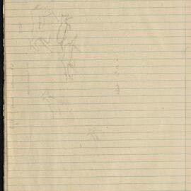 Peter Genge field notes. 01803