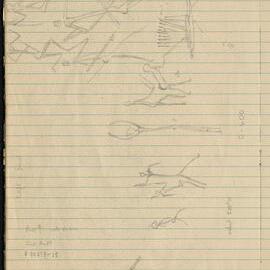 Peter Genge field notes. 01805