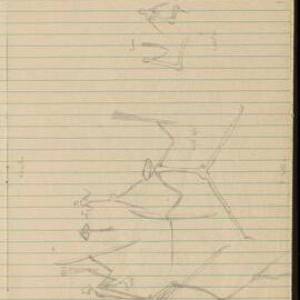 Peter Genge field notes. 01806