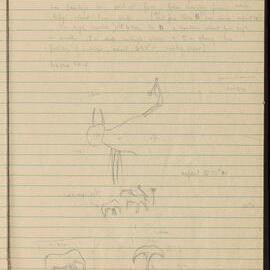 Peter Genge field notes. 01808