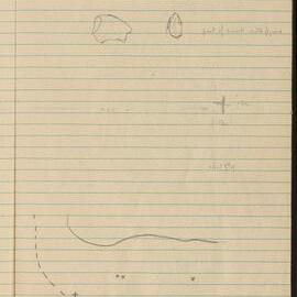 Peter Genge field notes. 01812