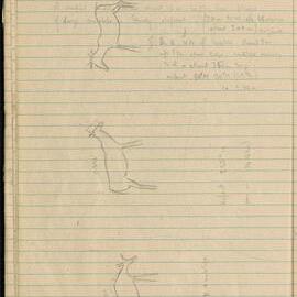 Peter Genge field notes. 01813