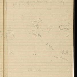 Peter Genge field notes. 02012