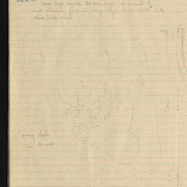 Peter Genge field notes. 02200