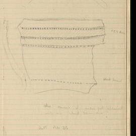 Peter Genge field notes. 02201