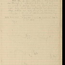 Peter Genge field notes. 02203