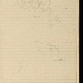 Peter Genge field notes. 02205